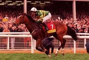 17 March 1998; Istabraq, with Charlie Swan up, on their way to winning the Smurfit Champion Hurdle during day one of the Cheltenham Racing Festival at Prestbury Park in Cheltenham, England. Photo by Damien Eagers/Sportsfile