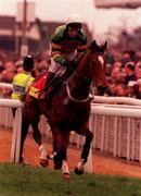 17 March 1998; Istabraq, with Charlie Swan up, going to post prior to the Smurfit Champion Hurdle Challenge Trophy race during day one of the Cheltenham Racing Festival at Prestbury Park in Cheltenham, England. Photo by Matt Browne/Sportsfile