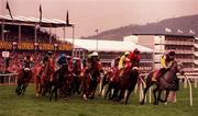 17 March 1998; Lady Daisey, with Jason Titley up, leads the field during the Smurift Champion Hurdle Challenge Trophy race during day one of the Cheltenham Racing Festival at Prestbury Park in Cheltenham, England. Photo by Damien Eagers/Sportsfile