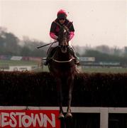 30 April 1998; Mahler, with Carl Llewellyn up, jump the last on their way to winning the Heineken Gold Cup during the Punchestown Festval Gold Cup day at Punchestown Racecourse in Kildare. Photo by Matt Browne/Sportsfile