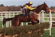 26 December 1998; Major Ballaby, with Francis Berry up, jump the last in the Denny Juvenile Hurdle during the Leopardstown Christmas Festival Day One at Leopardstown Racecourse in Dublin. Photo by Ray McManus/Sportsfile