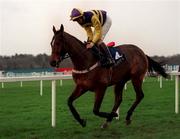 26 December 1998; Major Ballaby, with Francis Berry up, during the Leopardstown Christmas Festival Day One at Leopardstown Racecourse in Dublin. Photo by Ray McManus/Sportsfile