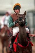 18 March 1998; Norman Williamson on Lady Rebecca during day two of the Cheltenham Racing Festival at Prestbury Park in Cheltenham, England. Photo by Matt Browne/Sportsfile