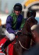 19 March 1998; Norman Williamson on Iron County Xmas during day three of the Cheltenham Racing Festival at Prestbury Park in Cheltenham, England. Photo by Matt Browne/Sportsfile