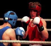 7 March 1997; Patrick Walsh during the National Boxing Championship Finals at the National Stadium in Dublin. Photo by Brendan Moran/Sportsfile
