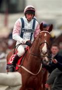 18 March 1998; Peter Niven on Sweet Lord during day two of the Cheltenham Racing Festival at Prestbury Park in Cheltenham, England. Photo by Matt Browne/Sportsfile