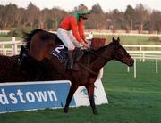 26 December 1998; Promalee, with Ruby Walsh up, jump the last in the Denny Gold Medal Novice Steeplechase during the Leopardstown Christmas Festival Day One at Leopardstown Racecourse in Dublin. Photo by Ray McManus/Sportsfile