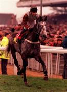 17 March 1998; Relkeel, with Adrian Maguire up, going to post prior to the Smurfit Champion Hurdle Challenge Trophy race during day one of the Cheltenham Racing Festival at Prestbury Park in Cheltenham, England. Photo by Matt Browne/Sportsfile