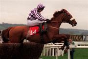 17 March 1998; In Truth, with Seamus Durack up, jump the last in the Challenge Cup Handicap Steeplechase during day one of the Cheltenham Racing Festival at Prestbury Park in Cheltenham, England. Photo by Matt Browne/Sportsfile