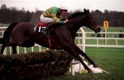 27 December 1998; Shannon Gale, with Frank Berry up, clear the last on their way to winning the Stakis Casinos Handicap Hurdle during Day Two of the Leopardstown Christmas Festival 1998 at Leopardstown Racecourse in Dublin. Photo by Ray McManus/Sportsfile