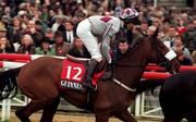 17 March 1998; Space Trucker, with Norman Williamson up, in action in the Guinness Arkle Challenge Trophy Steeplechase during day one of the Cheltenham Racing Festival at Prestbury Park in Cheltenham, England. Photo by Damien Eagers/Sportsfile