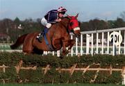 28 December 1998; Tarthooth, with Conor O'Dwyer up, jump the last in the Jackpot/Placepot race during the Leopardstown Christmas Festival Day Three at Leopardstown Racecourse in Dublin. Photo by Matt Browne/Sportsfile