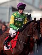 19 March 1998; Tony McCoy on Rainbow Frontier during day three of the Cheltenham Racing Festival at Prestbury Park in Cheltenham, England. Photo by Matt Browne/Sportsfile