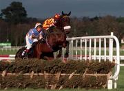 8 February 1998; Total Success, with Francis Berry up, clear the last on their way to winning the T.C.Matthews/Ulster Carpets Extended Handicap Hurdle during the horse racing from Leopardstown in Dublin. Photo by Matt Browne/Sportsfile