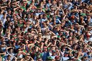 22 September 2013; A general view of Dublin and Mayo supporters watching the game from Hill 16 during the GAA Football All-Ireland Championship Finals, Croke Park, Dublin. Picture credit: Barry Cregg / SPORTSFILE