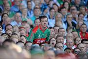 22 September 2013; A Mayo supporter looks on anxiously, at the game during the second-half. GAA Football All-Ireland Championship Finals, Croke Park, Dublin. Picture credit: Barry Cregg / SPORTSFILE