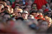 22 September 2013; A general view of a Dublin supporter watching the game during the second-half of the GAA Football All-Ireland Championship Finals, Croke Park, Dublin. Picture credit: Barry Cregg / SPORTSFILE
