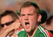 22 September 2013; Mayo supporter Richard McKenzie cheers on his side during the second-half of the GAA Football All-Ireland Championship Finals, Croke Park, Dublin. Picture credit: Barry Cregg / SPORTSFILE