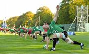 23 September 2013; Ireland's Paul O'Connell stretches alongside his team-mates during squad training. Ireland Rugby Squad Training, Carton House, Maynooth, Co. Kildare. Picture credit: Brendan Moran / SPORTSFILE