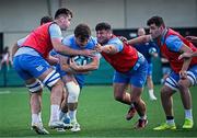 6 August 2024; Leinster players, from left, Brian Deeny, Gus McCarthy, Thomas Clarkson and James Culhane during a Leinster Rugby open training session at Lansdowne FC in Dublin. Photo by Harry Murphy/Sportsfile
