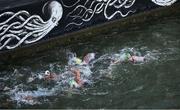 9 August 2024; Daniel Wiffen of Team Ireland, right, during the men's 10km marathon swim at Pont Alexandre III during the 2024 Paris Summer Olympic Games in Paris, France. Photo by David Fitzgerald/Sportsfile