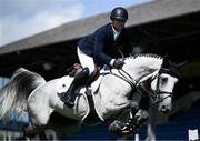 14 August 2024; Shane Sweetnam of Ireland competing on Otis Blue in the Speed Stakes during the Dublin Horse Show 2024 at the RDS in Dublin. Photo by Shauna Clinton/Sportsfile