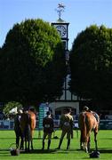 14 August 2024; Riders and their horses during the Dublin Horse Show 2024 at the RDS in Dublin. Photo by Shauna Clinton/Sportsfile