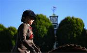 14 August 2024; A horse and rider during the Dublin Horse Show 2024 at the RDS in Dublin. Photo by Shauna Clinton/Sportsfile