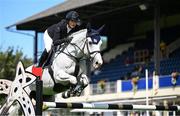 14 August 2024; Emilie Conter of Belgium competing on Ocean Quality in the Minerva Stakes during the Dublin Horse Show 2024 at the RDS in Dublin. Photo by Shauna Clinton/Sportsfile