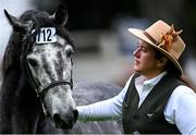 14 August 2024; A horse and rider is seen during the Dublin Horse Show 2024 at the RDS in Dublin. Photo by Shauna Clinton/Sportsfile