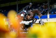 14 August 2024; Michael Greeve of Netherlands competing on Kannanton Z in the Speed Stakes during the Dublin Horse Show 2024 at the RDS in Dublin. Photo by Shauna Clinton/Sportsfile