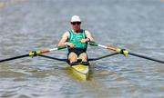 18 August 2024; Paul O'Donovan of Ireland competes in his lightweight men's single sculls heat during the World Rowing Championships 2024 at Royal Canadian Henley Rowing Course in St Catharines, Canada. Photo by Stephen Leithwood/Sportsfile
