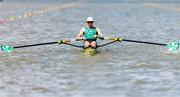 18 August 2024; Paul O'Donovan of Ireland competes in his lightweight men's single sculls heat during the World Rowing Championships 2024 at Royal Canadian Henley Rowing Course in St Catharines, Canada. Photo by Stephen Leithwood/Sportsfile