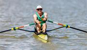 18 August 2024; Paul O'Donovan of Ireland competes in his lightweight men's single sculls heat during the World Rowing Championships 2024 at Royal Canadian Henley Rowing Course in St Catharines, Canada. Photo by Stephen Leithwood/Sportsfile