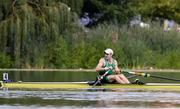 24 August 2024; Paul O'Donovan of Ireland finishes first at the lightweight men's single sculls final at the World Rowing Championships at Royal Canadian Henley Rowing Course in St Catharines, Canada. Photo by Stephen Leithwood/Sportsfile