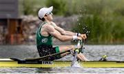 24 August 2024; Paul O'Donovan of Ireland during the lightweight men's single sculls final at the World Rowing Championships at Royal Canadian Henley Rowing Course in St Catharines, Canada. Photo by Stephen Leithwood/Sportsfile