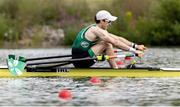 24 August 2024; Paul O'Donovan of Ireland during the lightweight men's single sculls final at the World Rowing Championships at Royal Canadian Henley Rowing Course in St Catharines, Canada. Photo by Stephen Leithwood/Sportsfile
