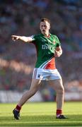 22 September 2013; Cillian O'Connor, Mayo. GAA Football All-Ireland Senior Championship Final, Dublin v Mayo, Croke Park, Dublin. Picture credit: Stephen McCarthy / SPORTSFILE