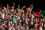 22 September 2013; Mayo supporters celebrate a score during the GAA Football All-Ireland Championship Finals, Croke Park, Dublin. Picture credit: Ray McManus / SPORTSFILE