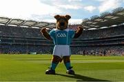 22 September 2013; 'Fionn' the GAA mascot. GAA Football All-Ireland Senior Championship Final, Dublin v Mayo, Croke Park, Dublin. Picture credit: Ray McManus / SPORTSFILE