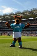 22 September 2013; 'Fionn' the GAA mascot. GAA Football All-Ireland Senior Championship Final, Dublin v Mayo, Croke Park, Dublin. Picture credit: Ray McManus / SPORTSFILE