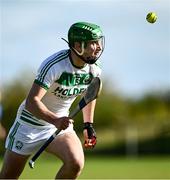 15 September 2024; Niall Shortall of Shamrocks Ballyhale during the Kilkenny Senior Hurling Championship Relegation Semi-Final match between James Stephens and Shamrocks Ballyhale at John Locke Park, Callan in Kilkenny. Photo by Shauna Clinton/Sportsfile