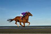 16 September 2024; Carlton Gardens, with JJ Slevin up, during the Tote.ie Claiming Race at the Laytown Races in Laytown, Meath. Photo by Ramsey Cardy/Sportsfile
