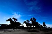 16 September 2024; Runners and riders during the Download The New Tote App Handicap at the Laytown Races in Laytown, Meath. Photo by Ramsey Cardy/Sportsfile