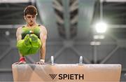 21 September 2024; Michael O'Neill of Ireland competes in the pommel horse during day one of the Gymnastics Ireland hosted Northern European Championships 2024 at the National Indoor Arena on the Sport Ireland Campus in Dublin. Photo by Stephen McCarthy/Sportsfile