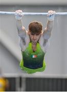 21 September 2024; Michael O'Neill of Ireland competes in the horizontal bar during day one of the Gymnastics Ireland hosted Northern European Championships 2024 at the National Indoor Arena on the Sport Ireland Campus in Dublin. Photo by Stephen McCarthy/Sportsfile