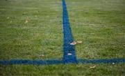 27 September 2024; A detailed view of the pitch markings during the cerebal palsy women's international series match between Ireland and Denmark at the AUL Complex in Dublin. Photo by Stephen McCarthy/Sportsfile
