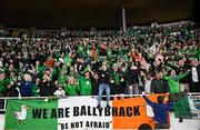10 October 2024; Republic of Ireland supporters celebrate after Robbie Brady scored their winning goal during the UEFA Nations League B Group 2 match between Finland and Republic of Ireland at the Helsinki Olympic Stadium in Helsinki, Finland. Photo by Stephen McCarthy/Sportsfile