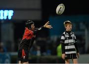 27 September 2013; Action from the the half-time mini games featuring Old Belvedere RFC and Clane RFC. Celtic League 2013/14, Round 4, Leinster v Cardiff Blues, RDS, Ballsbridge, Dublin. Picture credit: Stephen McCarthy / SPORTSFILE