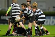27 September 2013; Old Belvedere RFC in action against Clane RFC during the half-time mini games. Celtic League 2013/14, Round 4, Leinster v Cardiff Blues, RDS, Ballsbridge, Dublin. Picture credit: Brendan Moran / SPORTSFILE